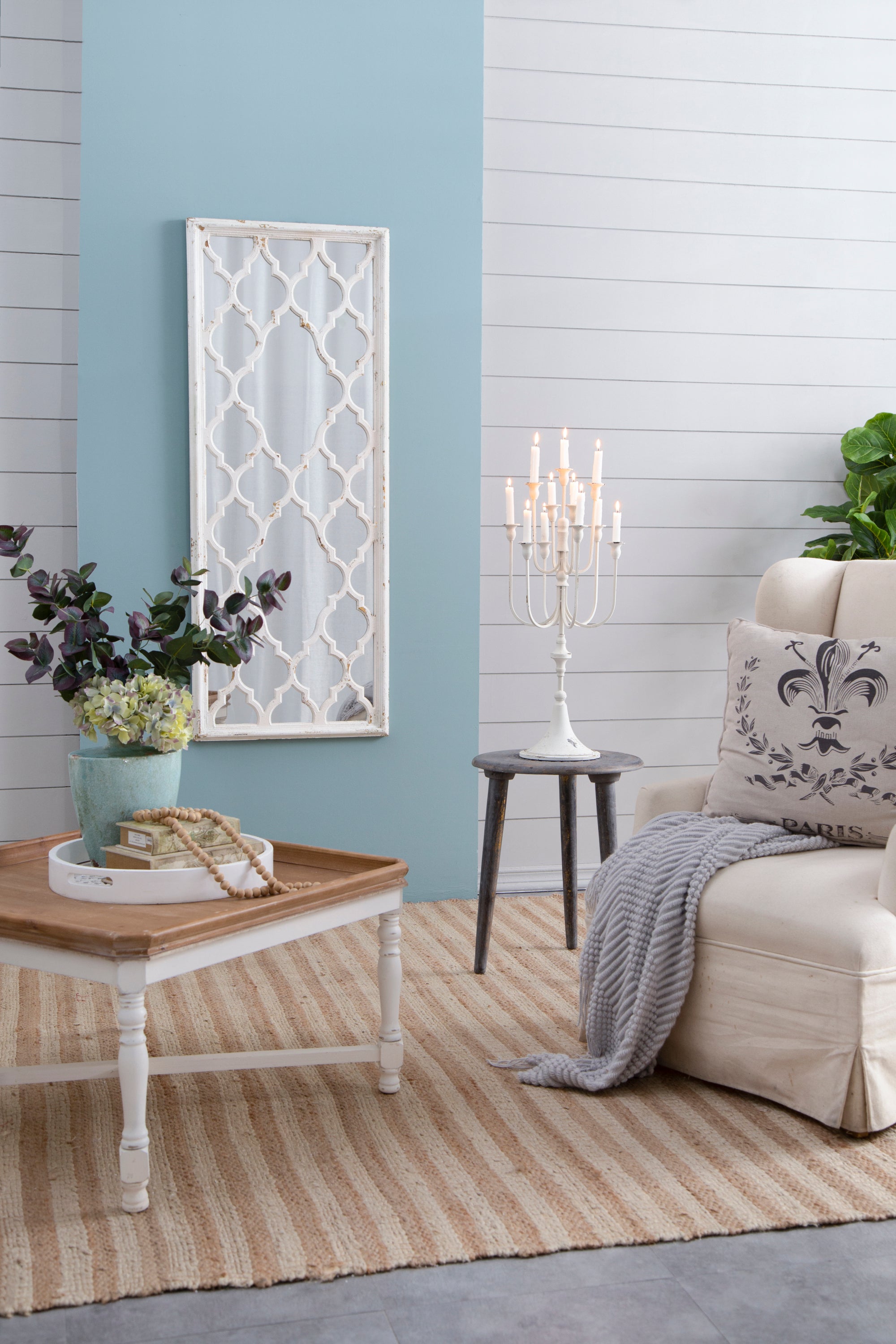 24' x 60' Distressed White Floor Mirror, Full Body Mirror for Bathroom Bedroom Living Room