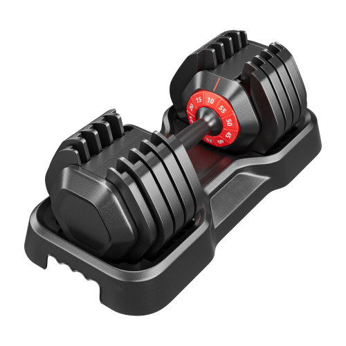 Adjustable Dumbbell Set, 10-in-1 Free Dumbbell for Men and Women, Black Dumbbell for Home Gym, Full Body Workout Fitness, Fast Adjust by Turning Handle,10 Gears/55 LB