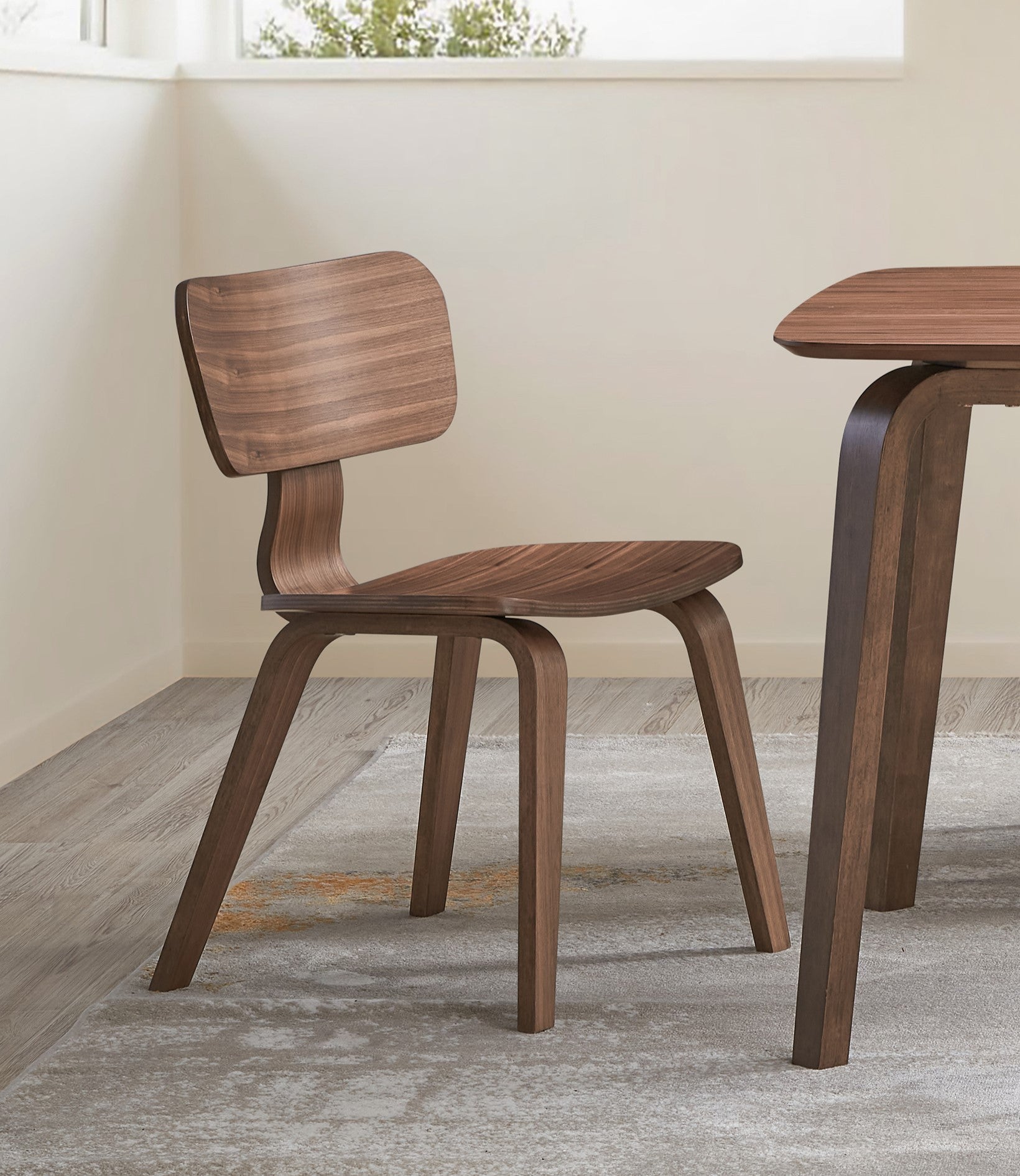 Walnut Finish Side Chairs Set of 2, Curved Ergonomic Design Solid Wood Dining Furniture Kitchen Modern