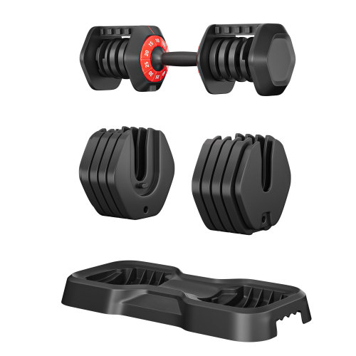 Adjustable Dumbbell Set, 10-in-1 Free Dumbbell for Men and Women, Black Dumbbell for Home Gym, Full Body Workout Fitness, Fast Adjust by Turning Handle,10 Gears/55 LB